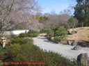 IMG 0782.jpg