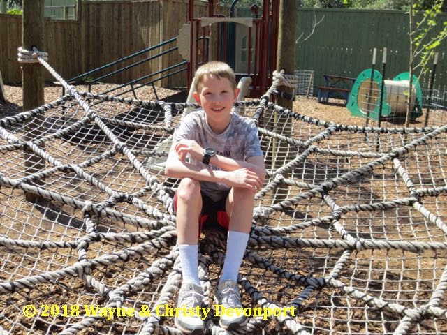 Colby in the cobweb playground